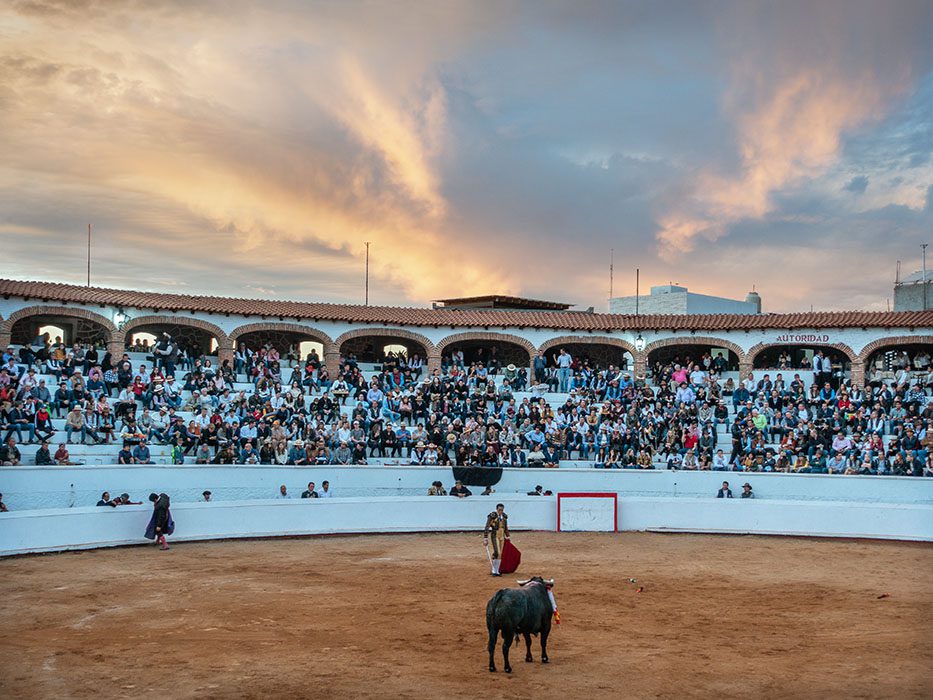 /product//the-last-bull-plaza-de-toros-san-miguel-de-allende-mexico-2018/