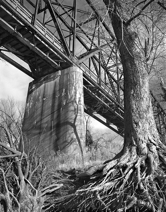 /product//chain-of-rocks-bridge-and-trees-from-the-bank-of-the-mississippi-river-winter-2020/