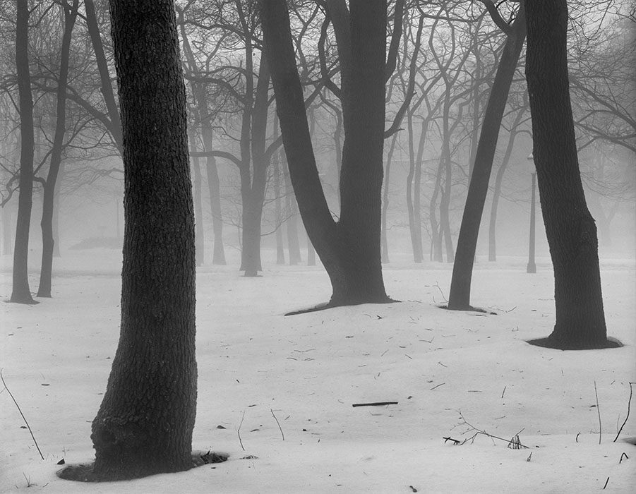 /product//snow-trees-and-fog-frontenac-missouri-1997/