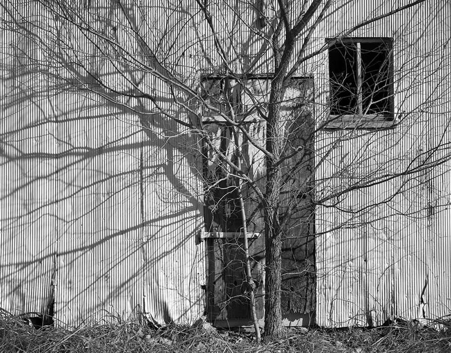 /product//tree-and-shadows-st-charles-county-missouri-1997/