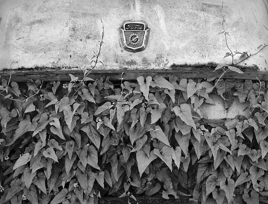 /product//ford-truck-ivy-ste-genevieve-missouri/