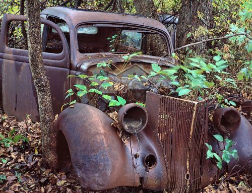 Car, Poison Ivy, St. Genevieve, Missouri
