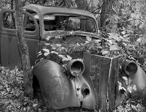Old Car, Poison Ivy, Ste. Genevieve, Missouri