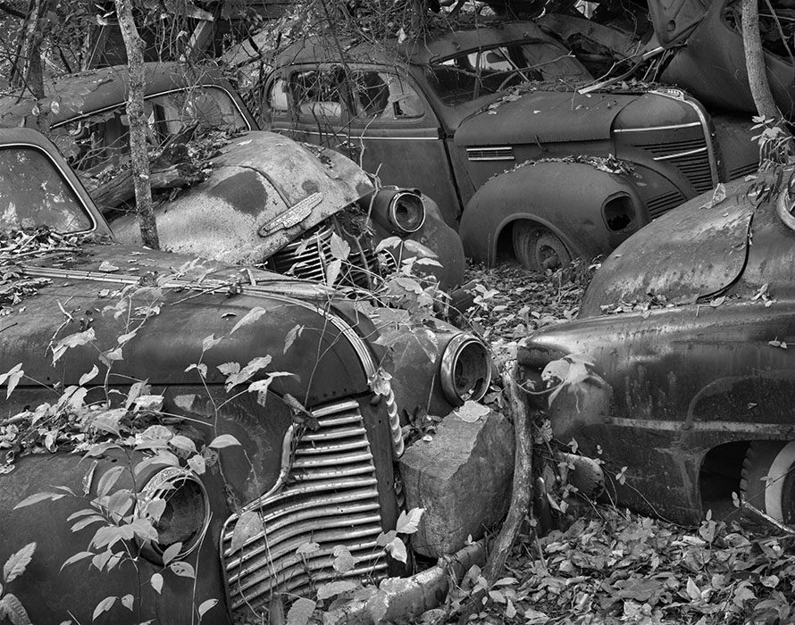 /product//old-cars-2-poison-ivy-ste-genevieve-missouri/