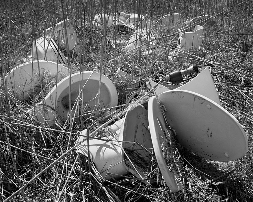 /product//discarded-toilets-east-st-louis-illinois-2022/